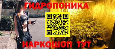 амф Дубна