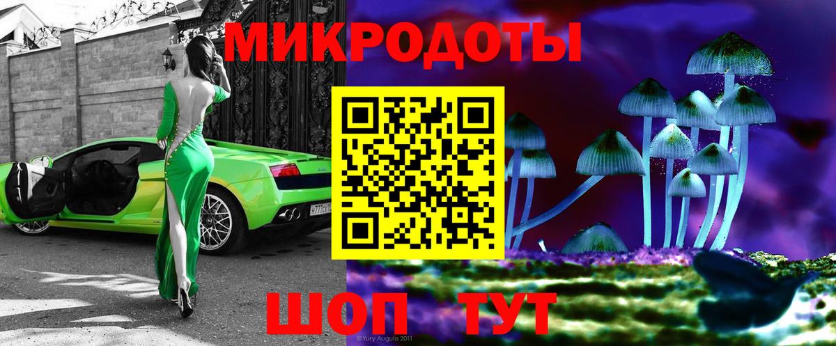 Галлюциногенные грибы мицелий Минусинск