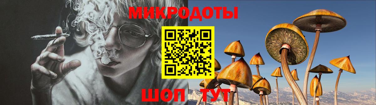 Галлюциногенные грибы Psilocybine cubensis  Вход с VPN  Минусинск 